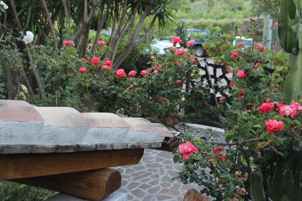 B&B Chorisia San Teodoro  Exterior foto
